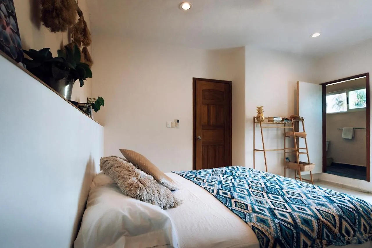 Hostel Hostal Cuca Macuca Puerto Morelos Mexico